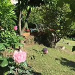 Delle Rose Otel Rapallo