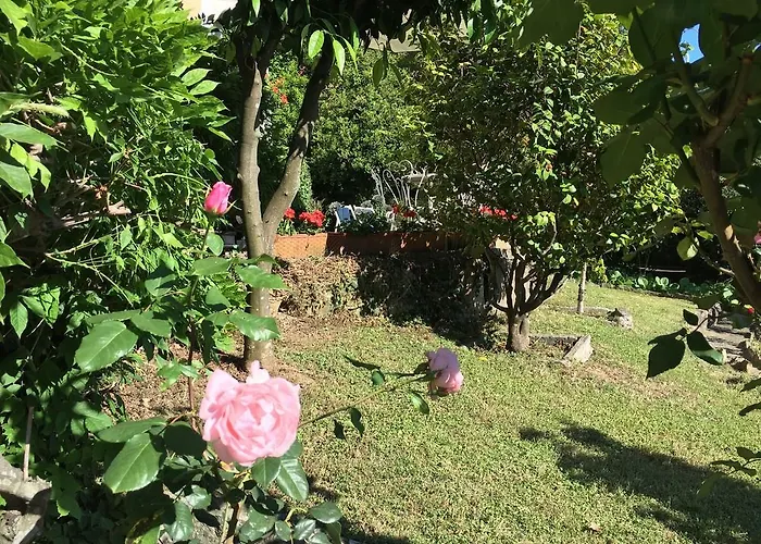 Delle Rose Otel Rapallo