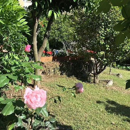 Delle Rose 호텔 라팔로