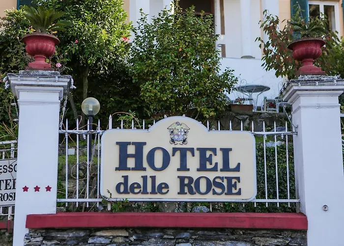 Delle Rose Готель 3*